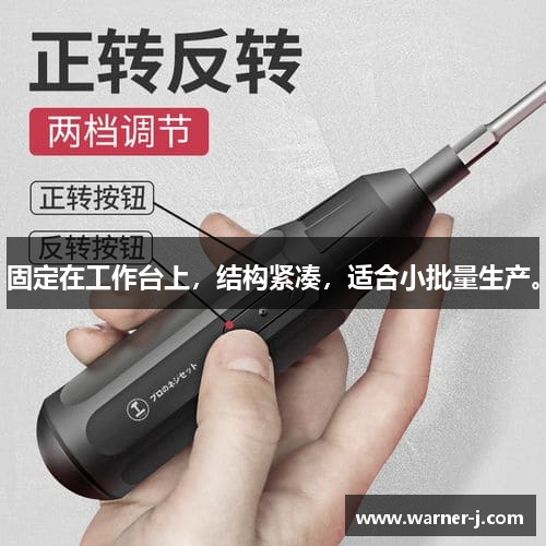 固定在工作台上，结构紧凑，适合小批量生产。